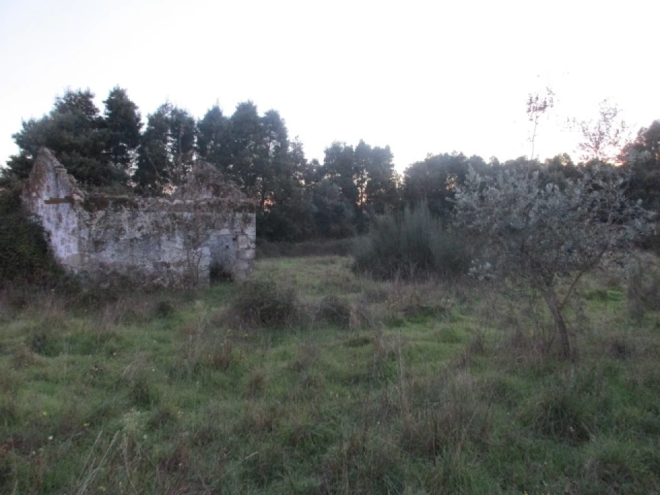 Quinta T0 para Venda em Alcafache Foto 4