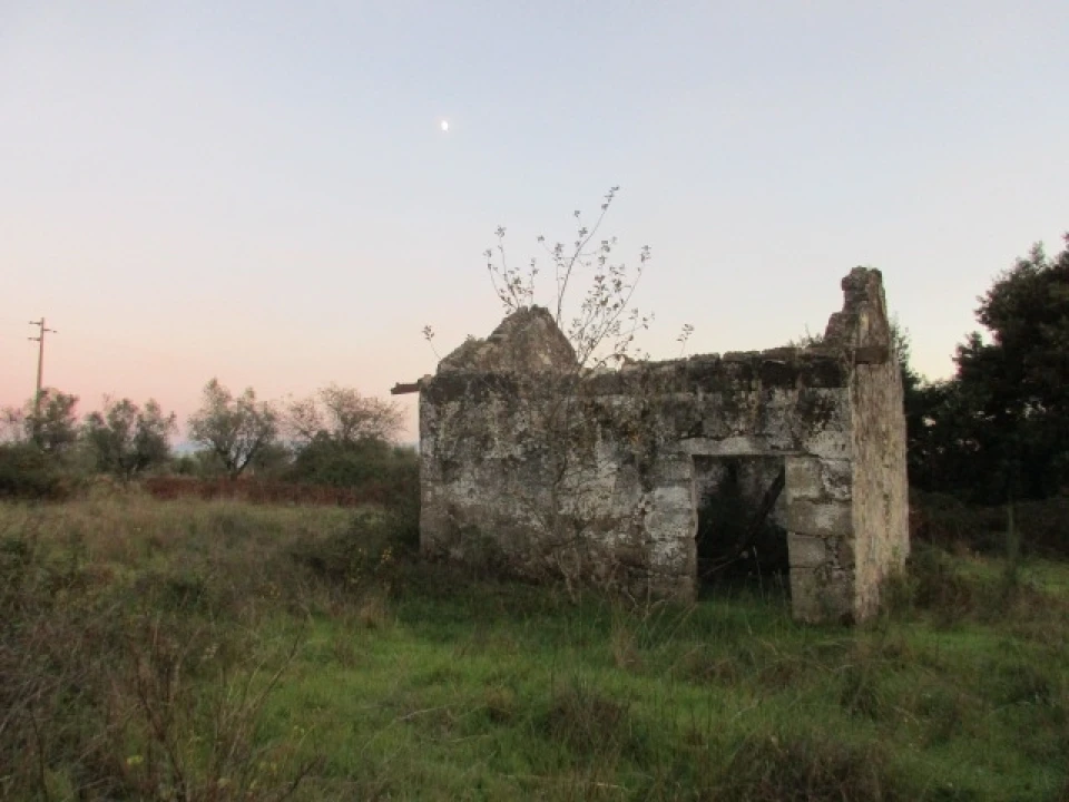 Quinta T0 para Venda em Alcafache Foto 3