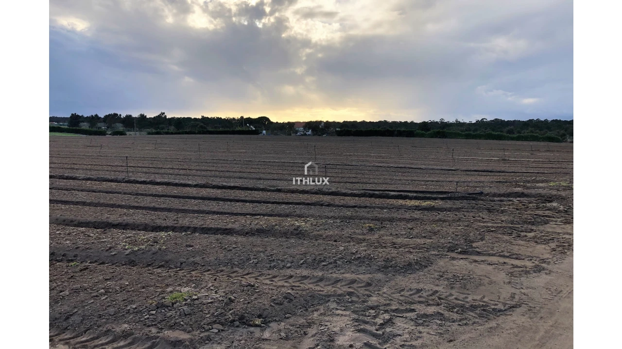 Terreno Agricola ou Rústico para Venda em Santo Andre Foto 3