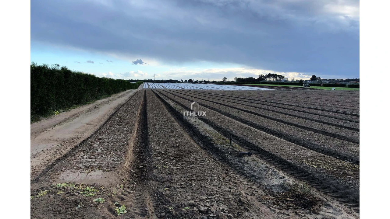 Terreno Agricola ou Rústico para Venda em Santo Andre Foto 5