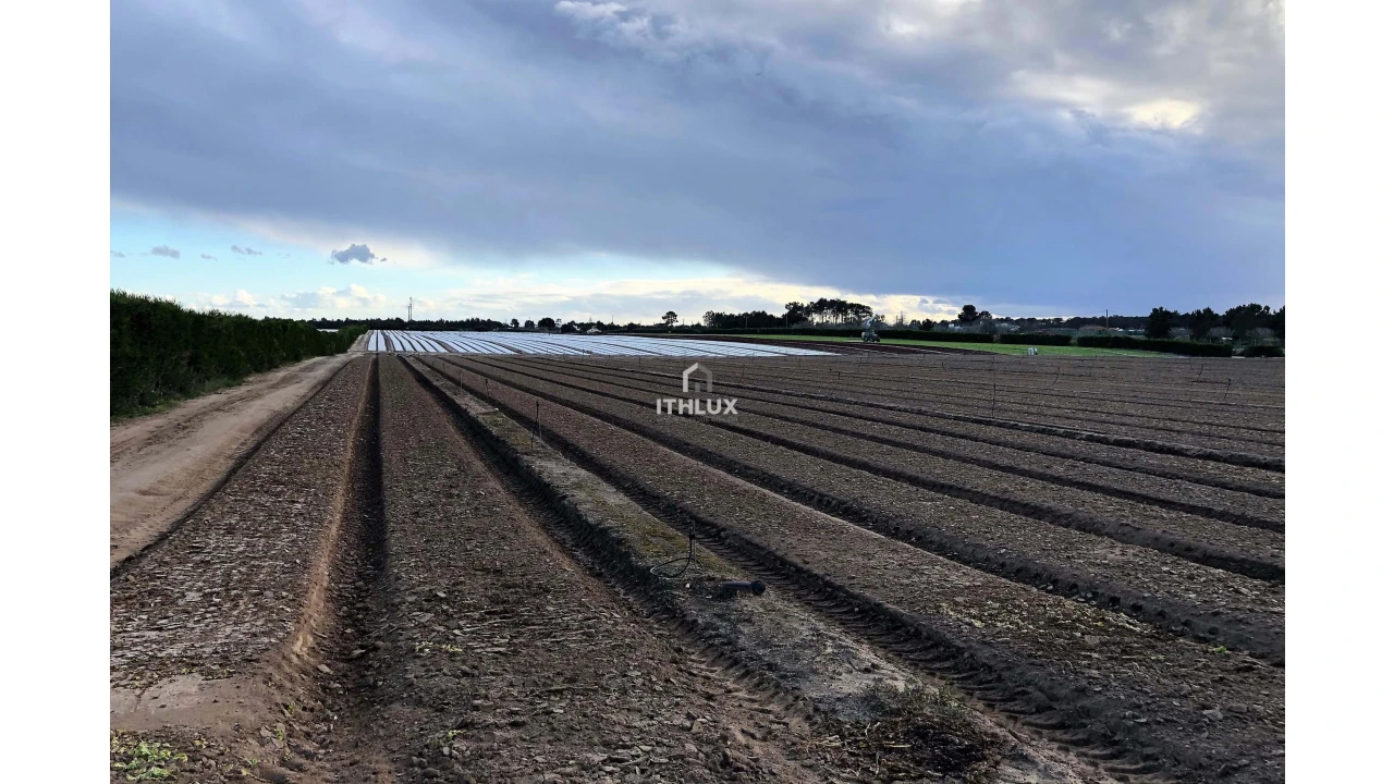 Terreno Agricola ou Rústico para Venda em Santo Andre Foto 2