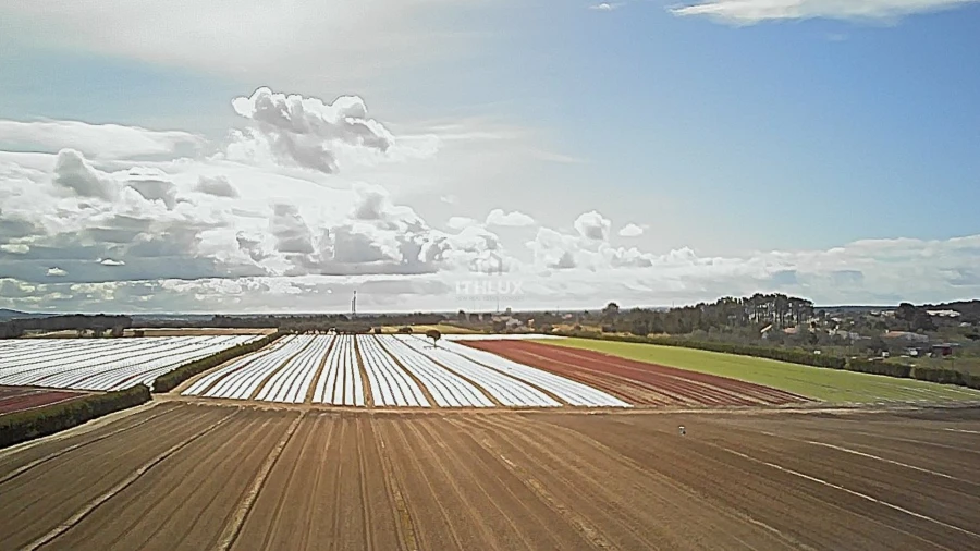 Terreno Agricola ou Rústico para Venda em Santo Andre Foto 9
