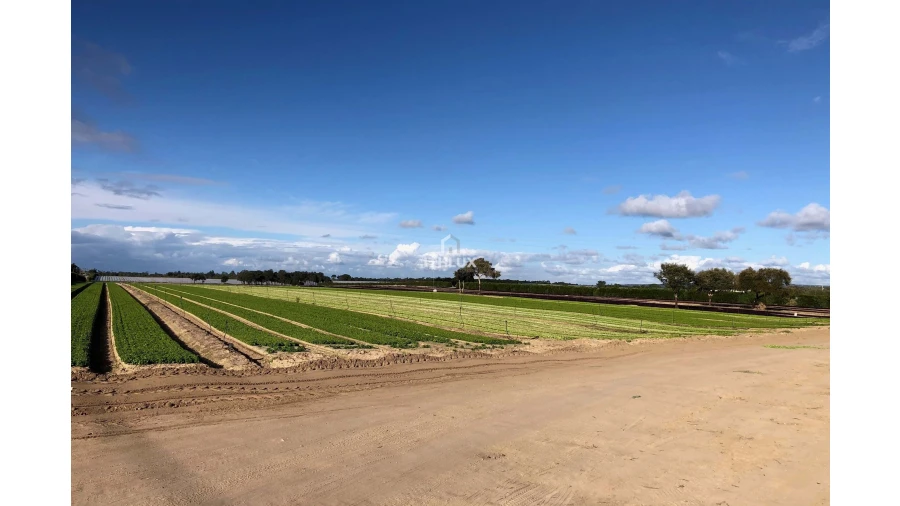 Terreno Agricola ou Rústico para Venda em Santo Andre