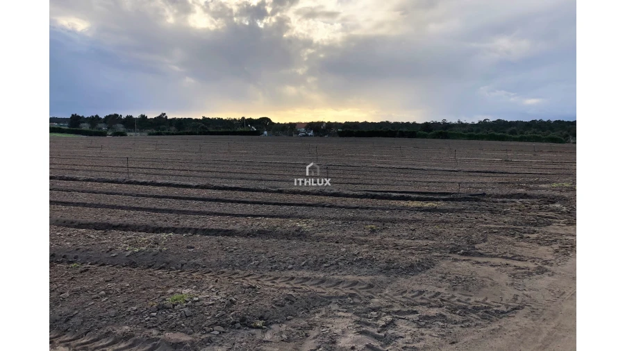 Terreno Agricola ou Rústico para Venda em Santo Andre Foto 3