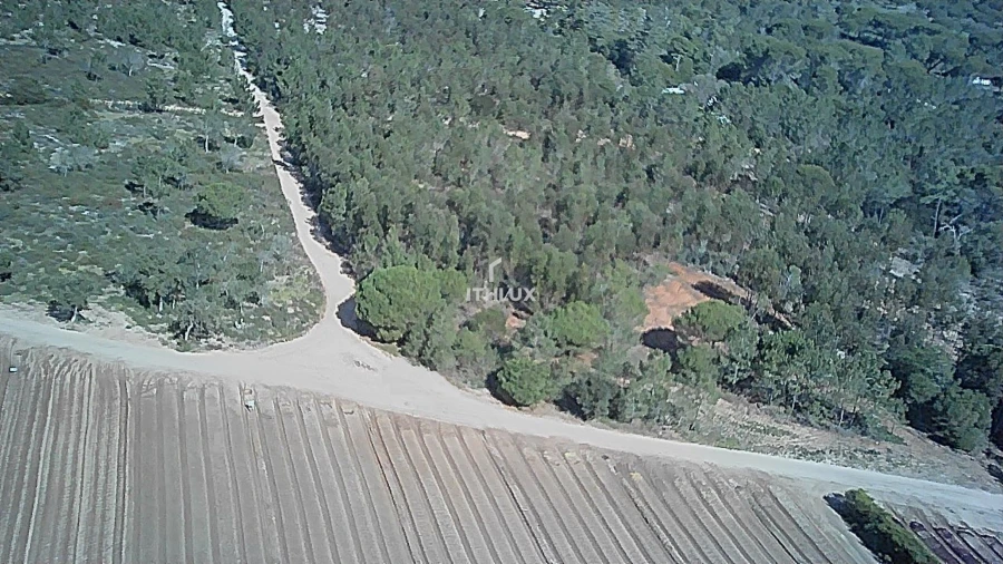 Terreno Agricola ou Rústico para Venda em Santo Andre Foto 10