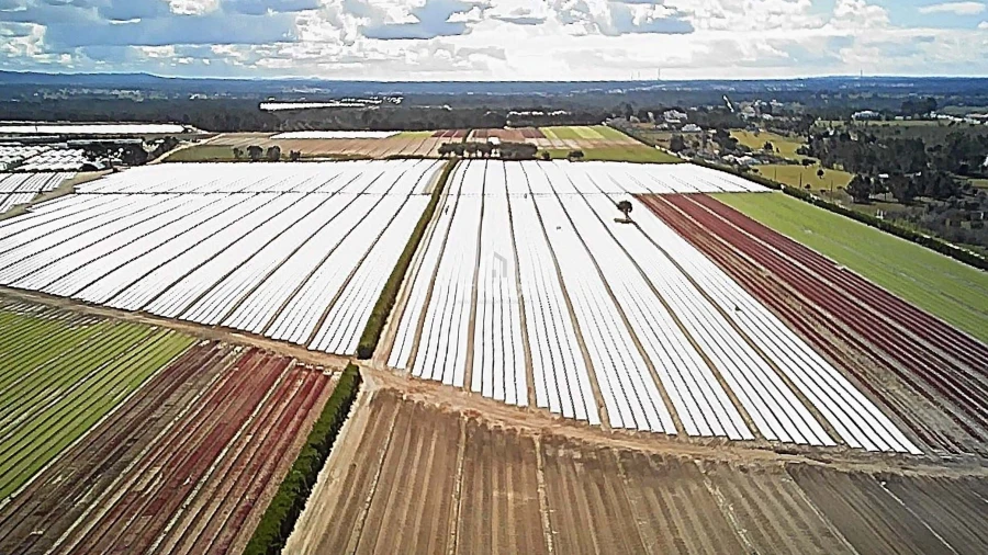 Terreno Agricola ou Rústico para Venda em Santo Andre Foto 7
