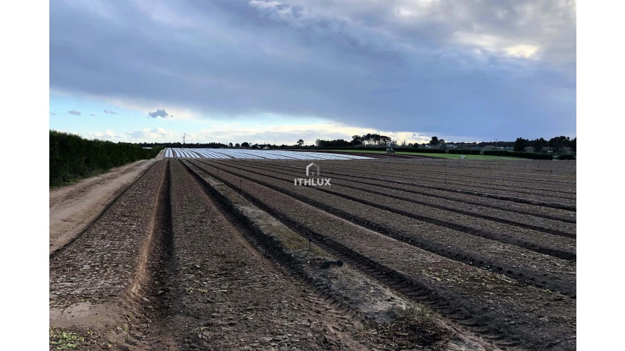 Terreno Agricola ou Rústico para Venda em Santo Andre Foto 2