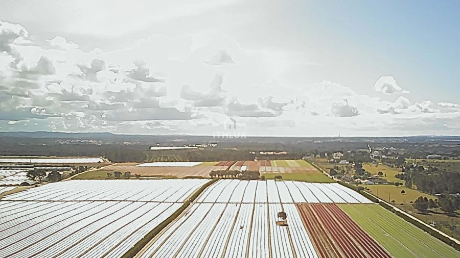 Terreno Agricola ou Rústico para Venda em Santo Andre Foto 6