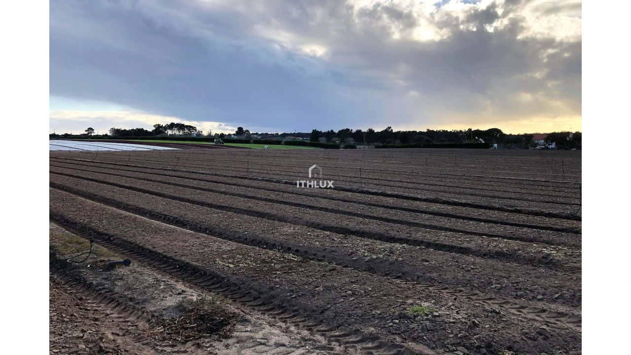 Terreno Agricola ou Rústico para Venda em Santo Andre Foto 4