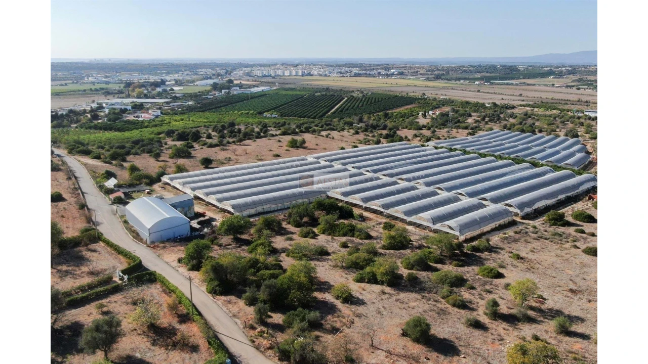Terreno para Venda em Lagoa e Carvoeiro Foto 4