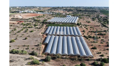Terreno para Venda em Lagoa e Carvoeiro
