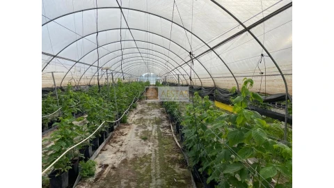 Terreno para Venda em Lagoa e Carvoeiro
