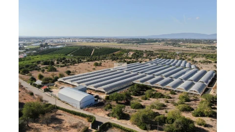 Terreno para Venda em Lagoa e Carvoeiro