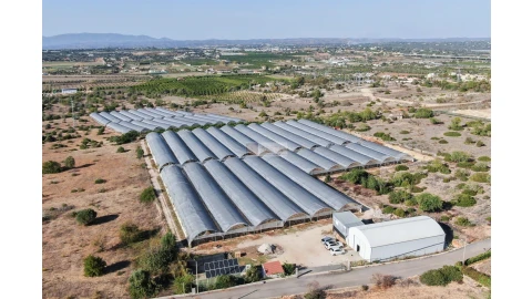 Terreno para Venda em Lagoa e Carvoeiro