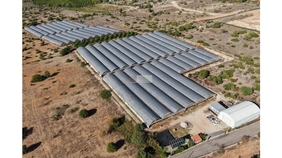 Terreno para Venda em Lagoa e Carvoeiro Foto 11