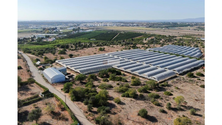 Terreno para Venda em Lagoa e Carvoeiro Foto 4
