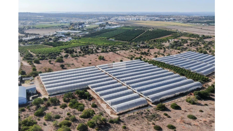 Terreno para Venda em Lagoa e Carvoeiro Foto 19