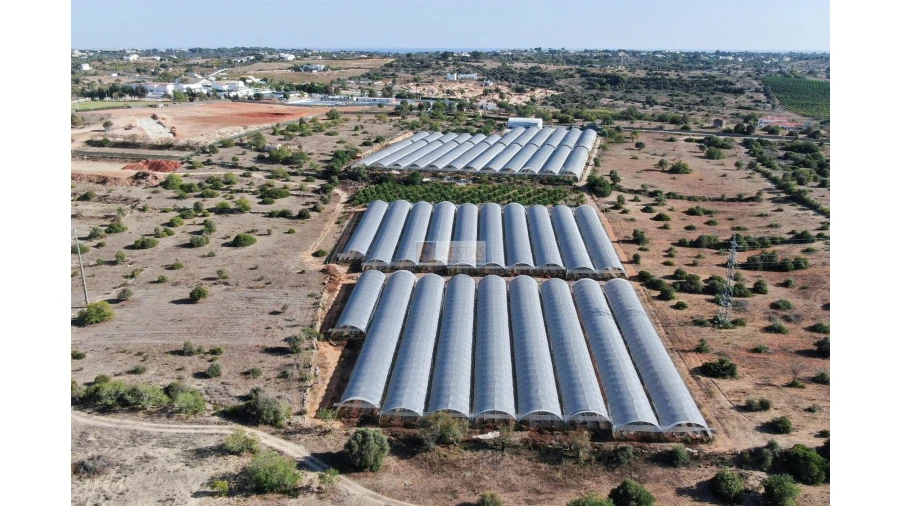 Terreno para Venda em Lagoa e Carvoeiro Foto 13