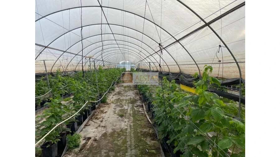 Terreno para Venda em Lagoa e Carvoeiro Foto 15