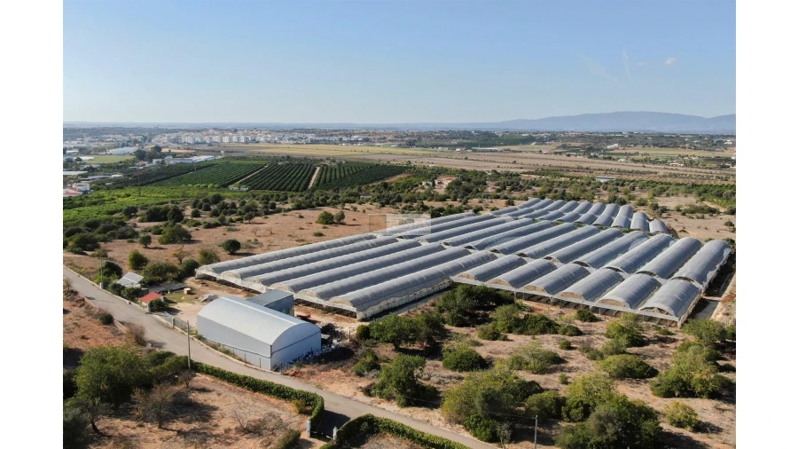 Terreno para Venda em Lagoa e Carvoeiro Foto 10