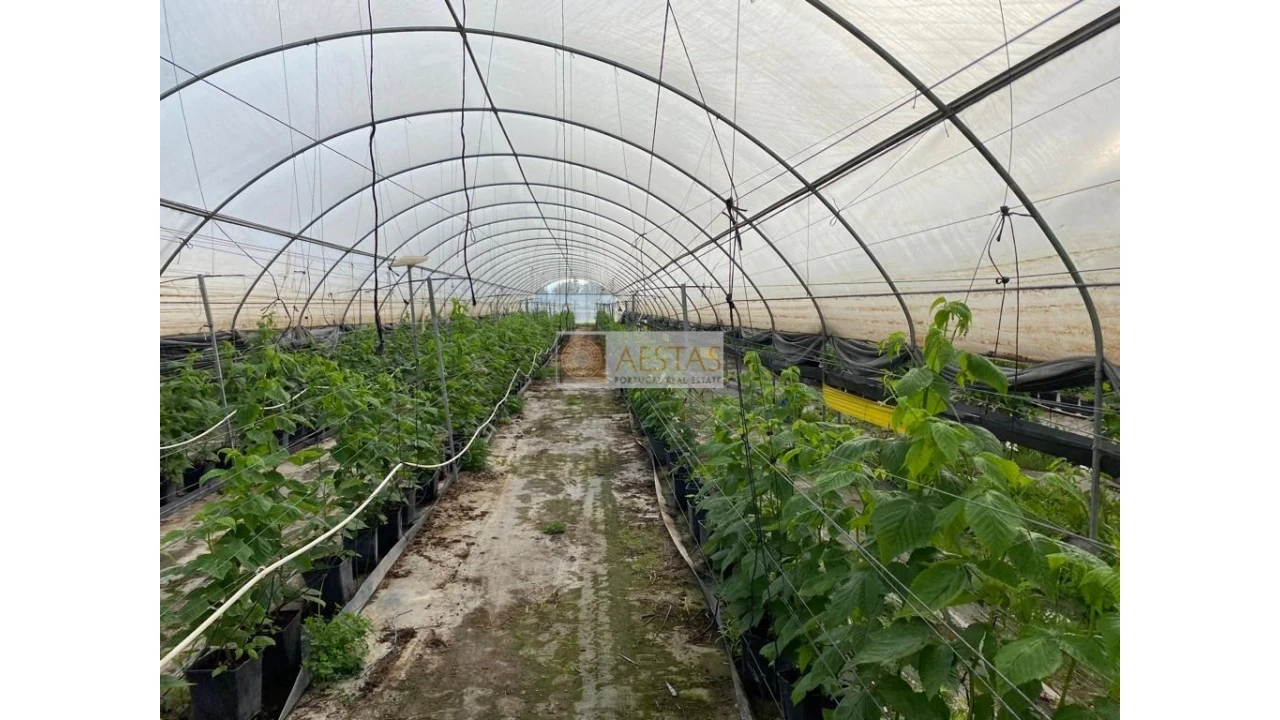 Terreno para Venda em Lagoa e Carvoeiro Foto 15