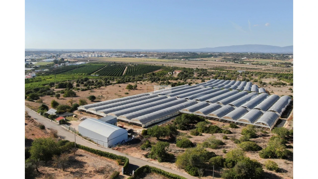 Terreno para Venda em Lagoa e Carvoeiro Foto 10