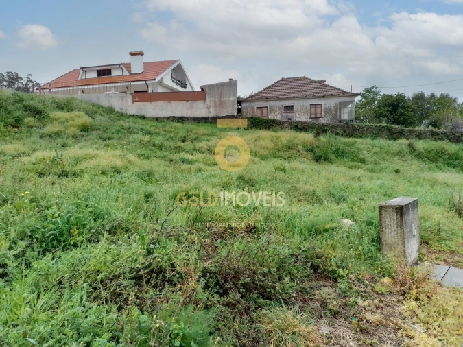 Terreno para Venda em Sanguedo Foto 1