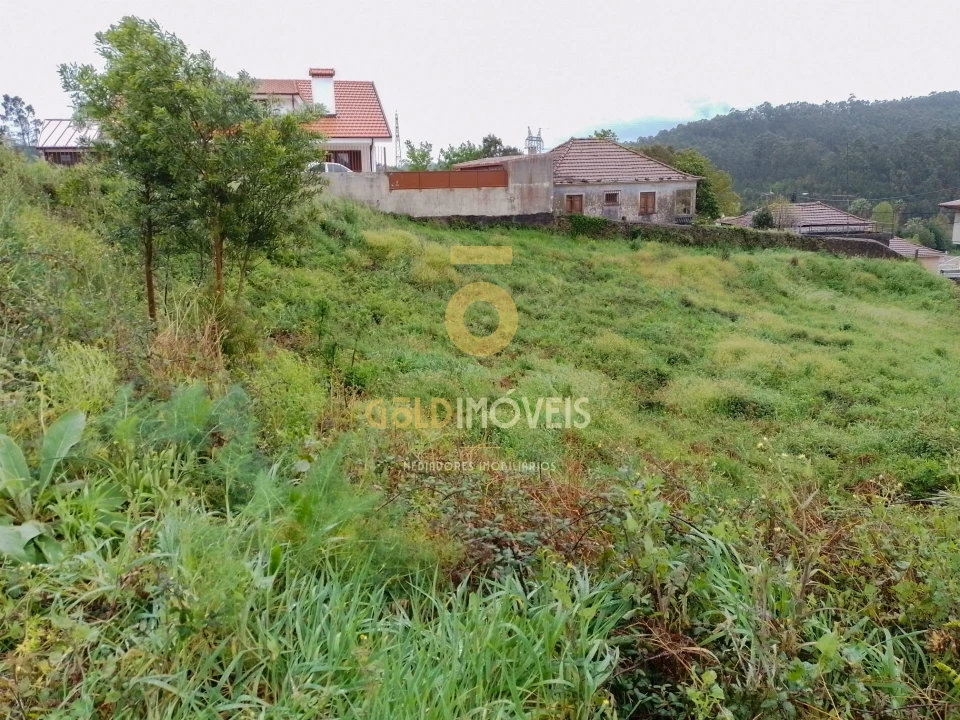 Terreno para Venda em Sanguedo Foto 5