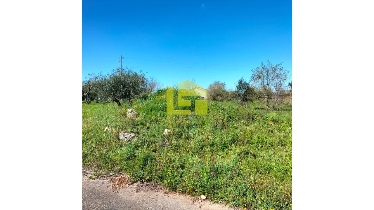 Terreno para Venda em Condeixa-A-Velha e Condeixa-A-Nova Foto 6