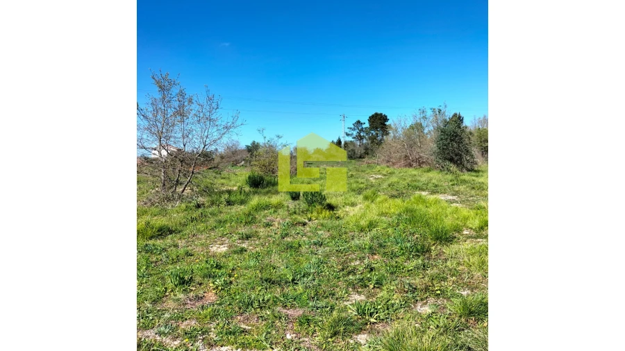 Terreno para Venda em Condeixa-A-Velha e Condeixa-A-Nova Foto 5