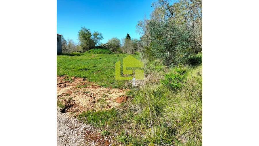 Terreno para Venda em Condeixa-A-Velha e Condeixa-A-Nova Foto 1