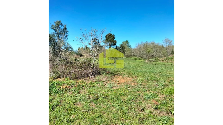 Terreno para Venda em Condeixa-A-Velha e Condeixa-A-Nova Foto 11