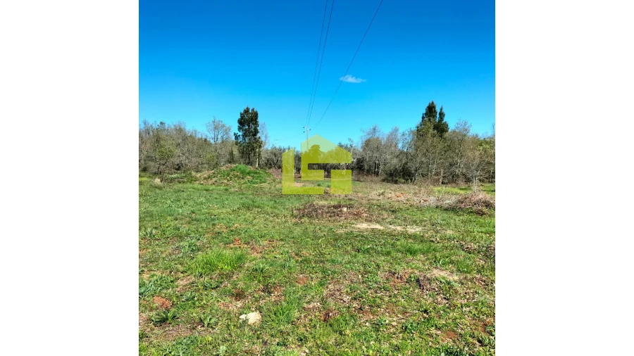 Terreno para Venda em Condeixa-A-Velha e Condeixa-A-Nova Foto 12