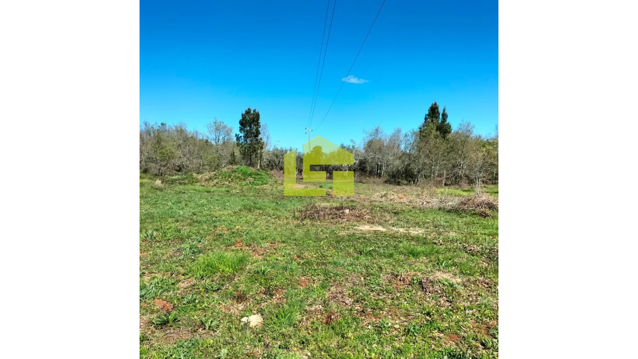 Terreno para Venda em Condeixa-A-Velha e Condeixa-A-Nova Foto 12