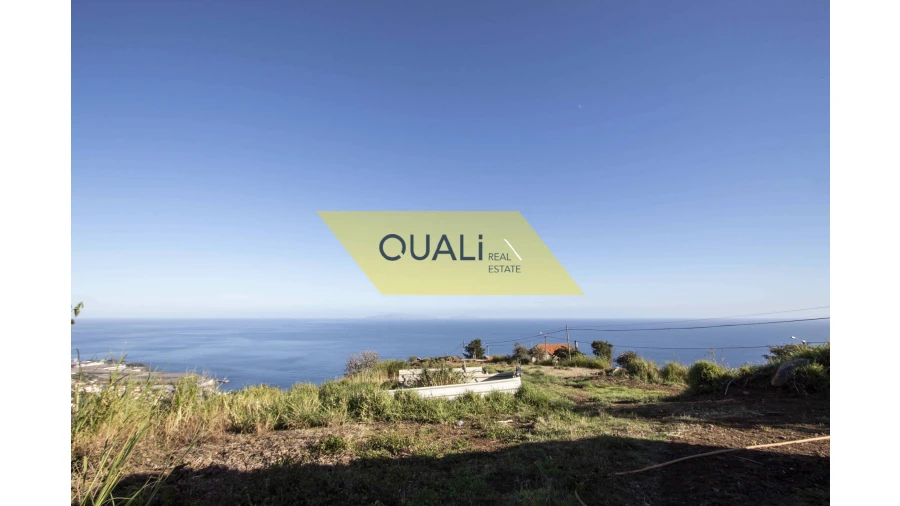 Terreno Agricola ou Rústico para Venda em Santa Cruz Foto 8