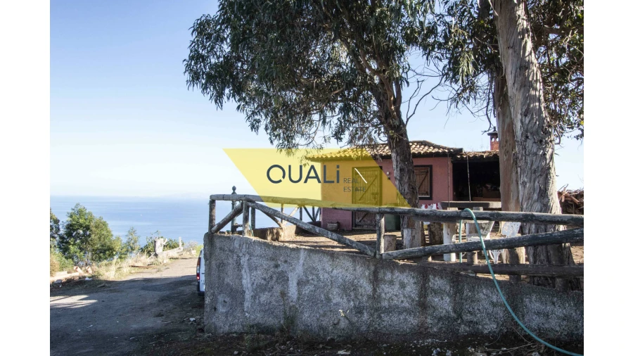 Terreno Agricola ou Rústico para Venda em Santa Cruz Foto 6