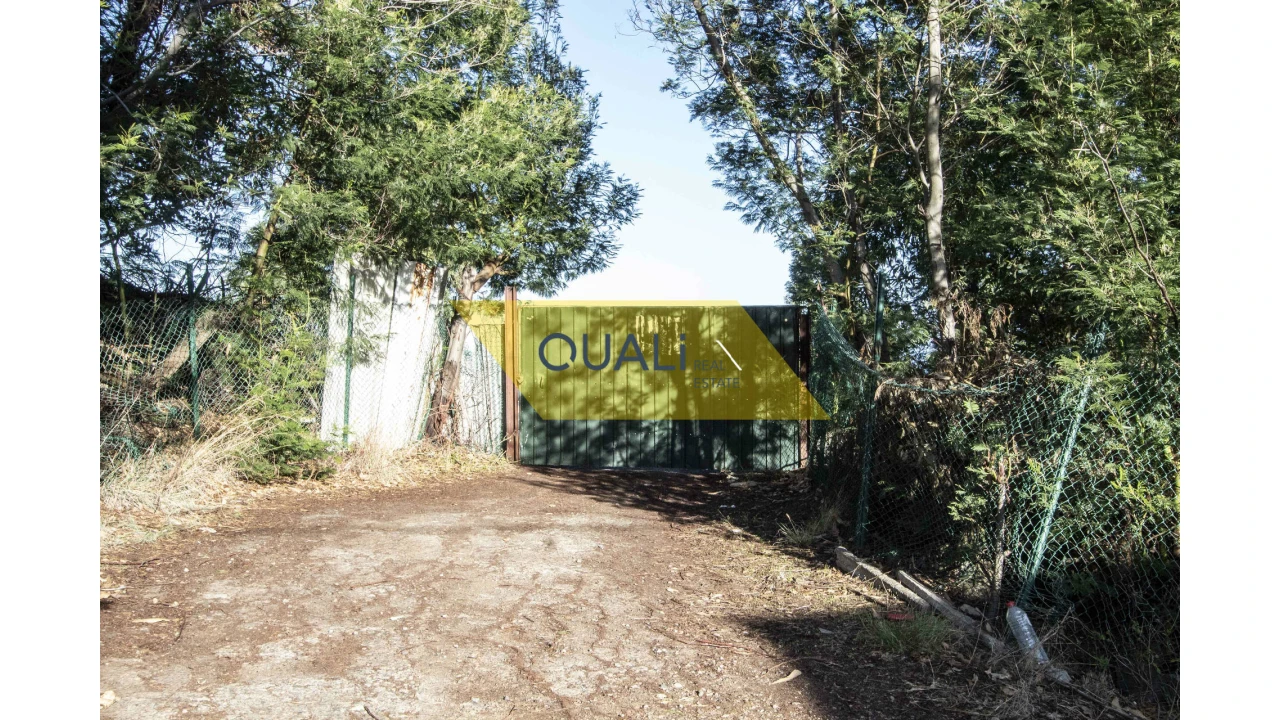 Terreno Agricola ou Rústico para Venda em Santa Cruz Foto 11