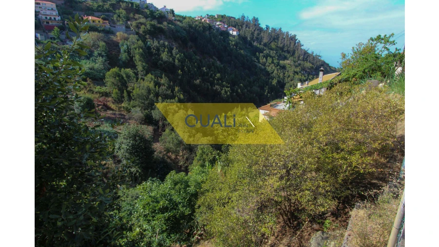 Terreno Agricola ou Rústico para Venda em Santo Antonio Foto 2