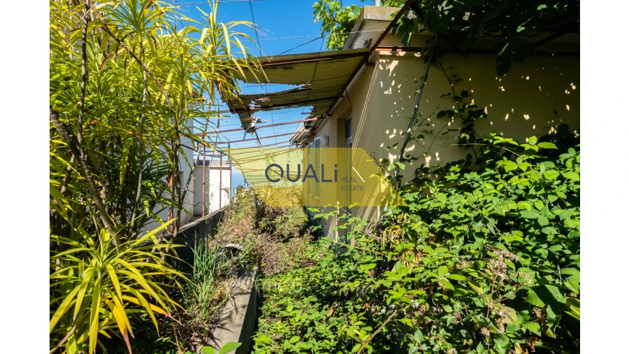 Terreno Misto para Venda em Tabua Foto 5