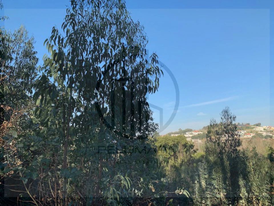 Terreno para Venda em Ferreiros e Gondizalves Foto 7