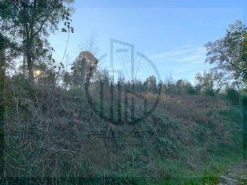 Terreno para Venda em Ferreiros e Gondizalves