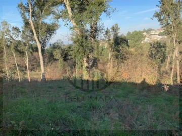 Terreno para Venda em Ferreiros e Gondizalves