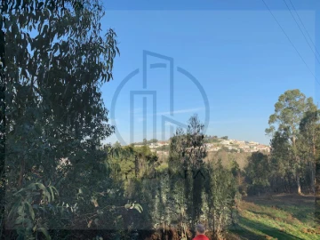 Terreno para Venda em Ferreiros e Gondizalves
