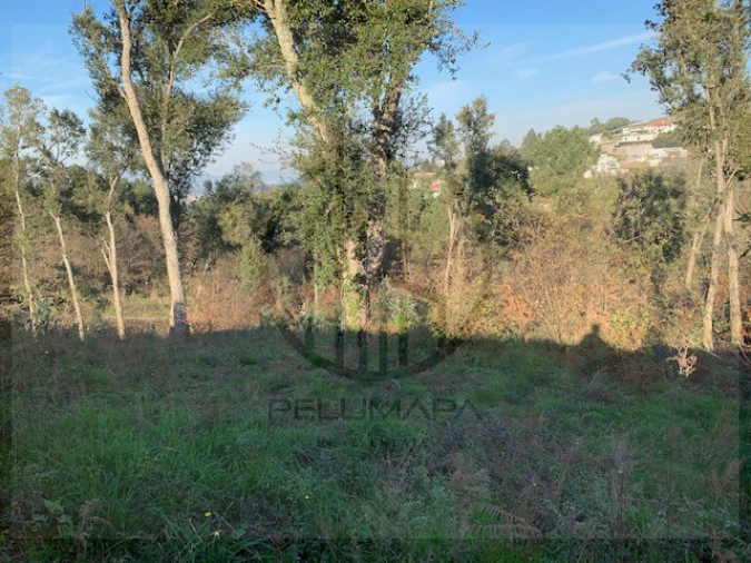 Terreno para Venda em Ferreiros e Gondizalves Foto 5