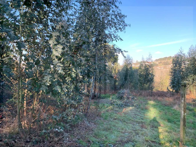 Terreno para Venda em Ferreiros e Gondizalves Foto 11