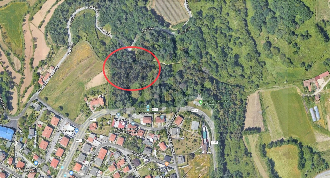 Terreno para Venda em Ferreiros e Gondizalves Foto 2