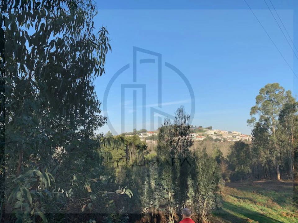 Terreno para Venda em Ferreiros e Gondizalves Foto 8