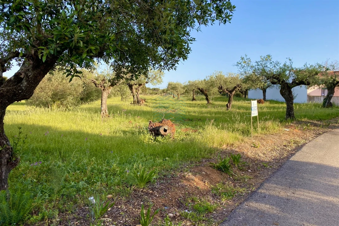 Terreno Agricola ou Rústico para Venda em Zibreira Foto 6