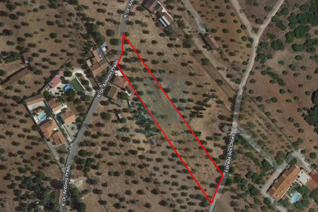 Terreno Agricola ou Rústico para Venda em Zibreira Foto 3