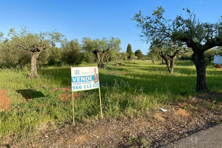 Terreno Agricola ou Rústico para Venda em Zibreira Foto 2